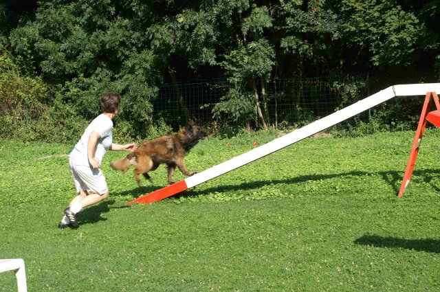 agility 2011-08